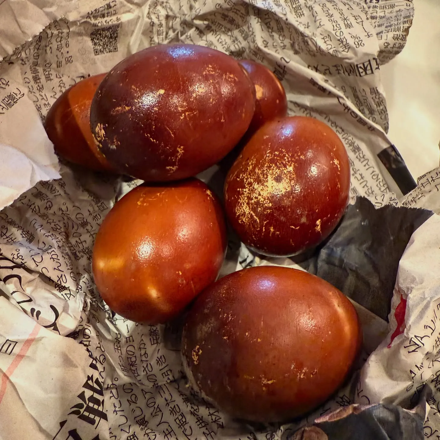 先週日本生まれのアビーちゃんご来店❤️嬉し過ぎる